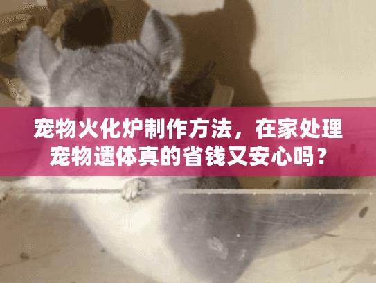 宠物火化炉制作方法,在家处理宠物遗体真的省钱又安心吗? 宠物火化炉制作方法,在家处理宠物遗体真的省钱又安心吗?