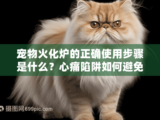 宠物火化炉的正确使用步骤是什么？心痛陷阱如何避免