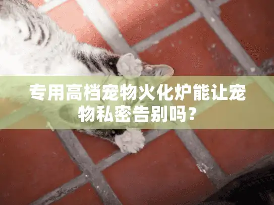 专用高档宠物火化炉能让宠物私密告别吗？