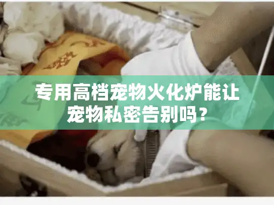 专用高档宠物火化炉能让宠物私密告别吗？