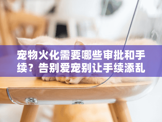 宠物火化需要哪些审批和手续？告别爱宠别让手续添乱