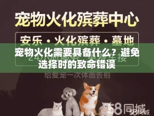 宠物火化需要具备什么？避免选择时的致命错误
