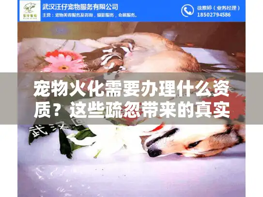 宠物火化需要办理什么资质?这些疏忽带来的真实案例教训 宠物火化需要办理什么资质?这些疏忽带来的真实案例教训