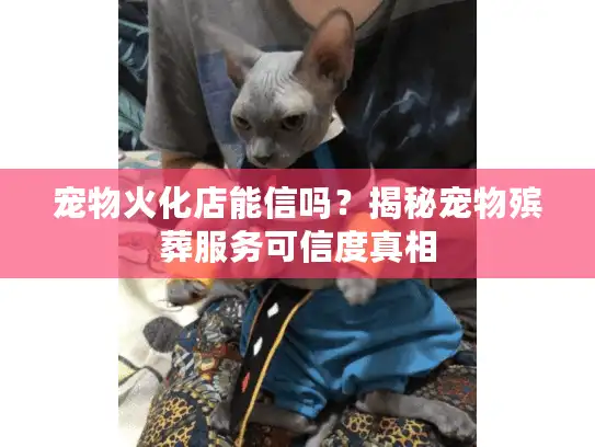 宠物火化店能信吗?揭秘宠物殡葬服务可信度真相 宠物火化店能信吗?揭秘宠物殡葬服务可信度真相