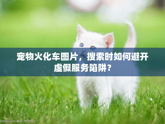 宠物火化车图片，搜索时如何避开虚假服务陷阱？