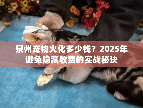 泉州宠物火化多少钱？2025年避免隐藏收费的实战秘诀