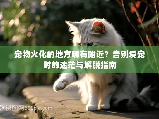 宠物火化的地方哪有附近？告别爱宠时的迷茫与解脱指南
