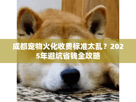 成都宠物火化收费标准太乱?2025年避坑省钱全攻略 成都宠物火化收费标准太乱?2025年避坑省钱全攻略