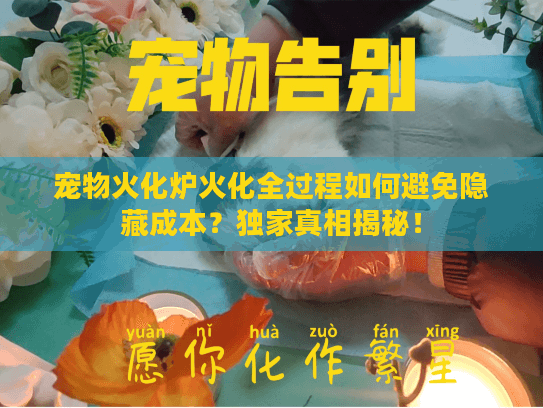 宠物火化炉火化全过程如何避免隐藏成本？独家真相揭秘！
