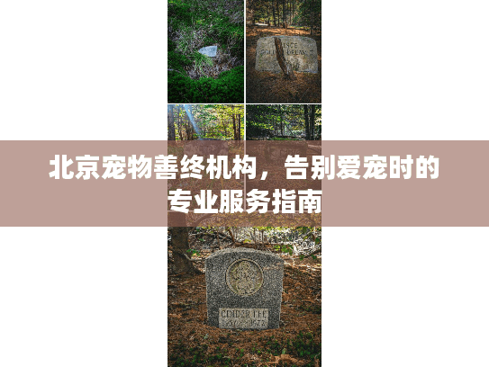 北京宠物善终机构，告别爱宠时的专业服务指南