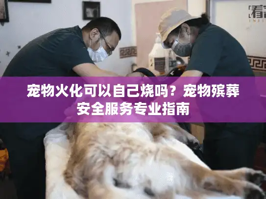 宠物火化可以自己烧吗？宠物殡葬安全服务专业指南