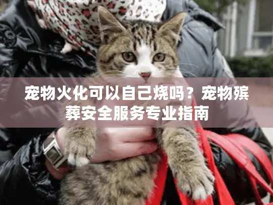 宠物火化可以自己烧吗？宠物殡葬安全服务专业指南