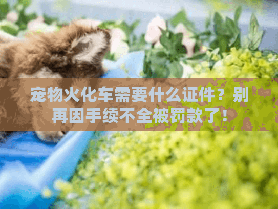 宠物火化车需要什么证件?别再因手续不全被罚款了! 宠物火化车需要什么证件?别再因手续不全被罚款了!