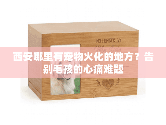 西安哪里有宠物火化的地方？告别毛孩的心痛难题