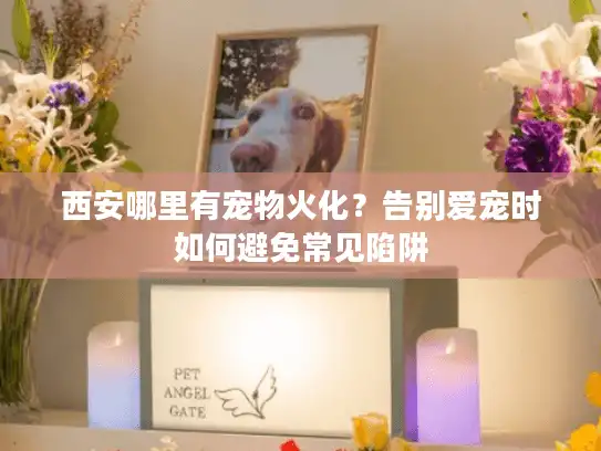 西安哪里有宠物火化?告别爱宠时如何避免常见陷阱 西安哪里有宠物火化?告别爱宠时如何避免常见陷阱