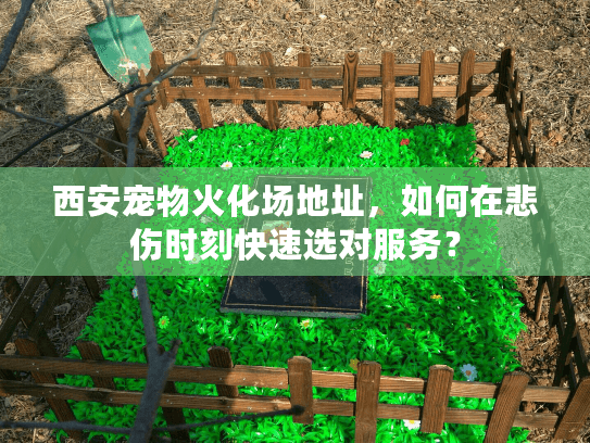 西安宠物火化场地址，如何在悲伤时刻快速选对服务？