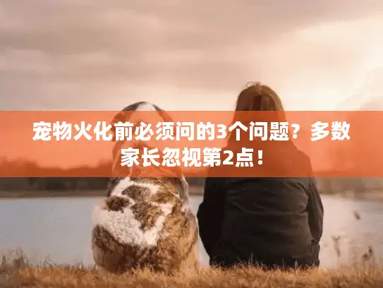 宠物火化前必须问的3个问题？多数家长忽视第2点！