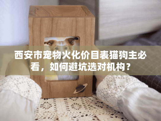 西安市宠物火化价目表猫狗主必看,如何避坑选对机构? 西安市宠物火化价目表猫狗主必看,如何避坑选对机构?