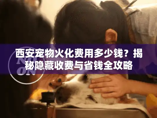 西安宠物火化费用多少钱？揭秘隐藏收费与省钱全攻略