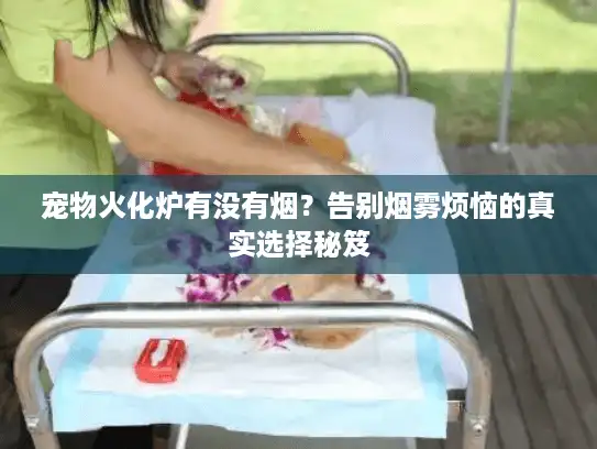 宠物火化炉有没有烟?告别烟雾烦恼的真实选择秘笈 宠物火化炉有没有烟?告别烟雾烦恼的真实选择秘笈