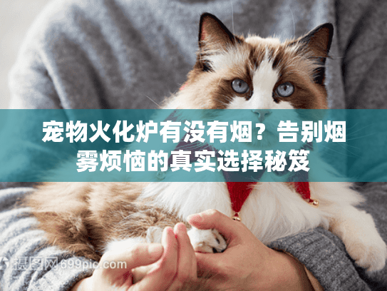 宠物火化炉有没有烟?告别烟雾烦恼的真实选择秘笈 宠物火化炉有没有烟?告别烟雾烦恼的真实选择秘笈