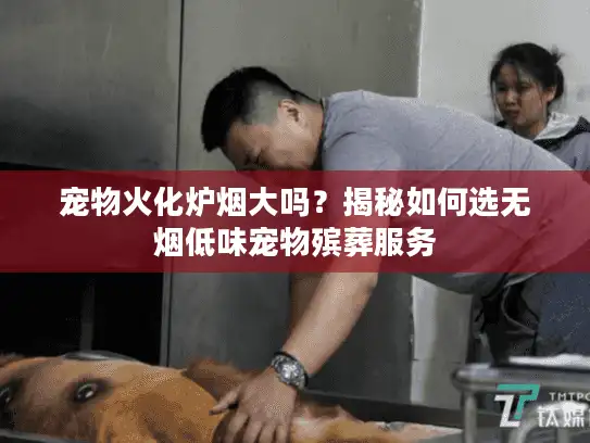 宠物火化炉烟大吗？揭秘如何选无烟低味宠物殡葬服务