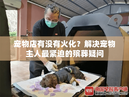宠物店有没有火化？解决宠物主人最紧迫的殡葬疑问