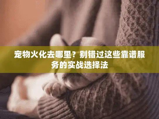 宠物火化去哪里？别错过这些靠谱服务的实战选择法