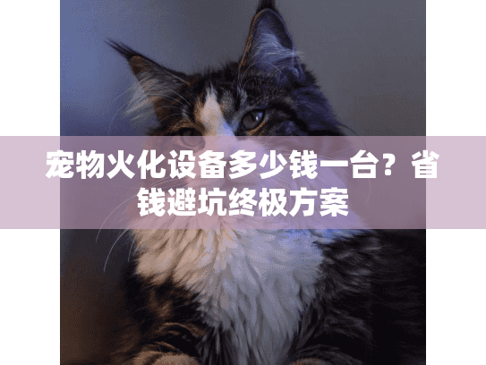 宠物火化设备多少钱一台?省钱避坑终极方案 宠物火化设备多少钱一台?省钱避坑终极方案