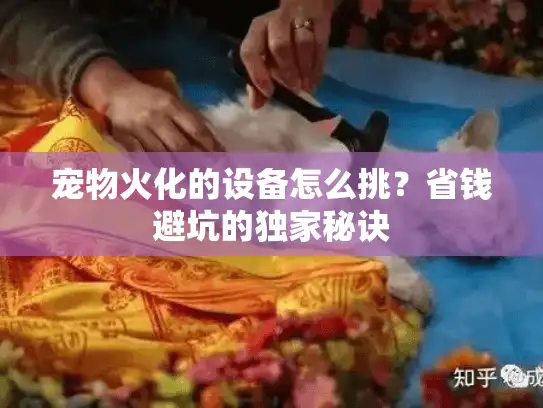 宠物火化的设备怎么挑?省钱避坑的独家秘诀 宠物火化的设备怎么挑?省钱避坑的独家秘诀