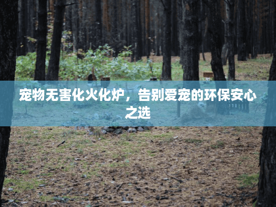 宠物无害化火化炉，告别爱宠的环保安心之选