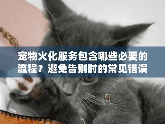 宠物火化服务包含哪些必要的流程？避免告别时的常见错误！