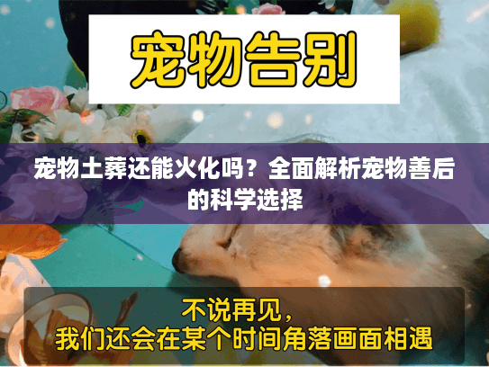 宠物土葬还能火化吗？全面解析宠物善后的科学选择