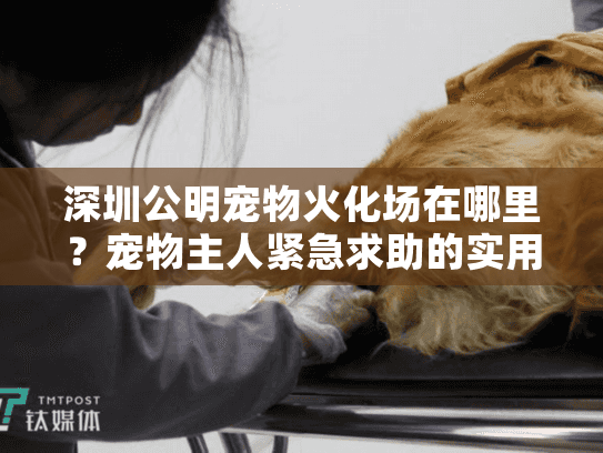 深圳公明宠物火化场在哪里？宠物主人紧急求助的实用攻略