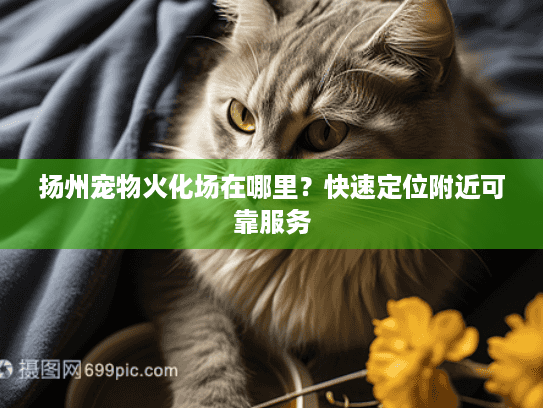 扬州宠物火化场在哪里?快速定位附近可靠服务 扬州宠物火化场在哪里?快速定位附近可靠服务