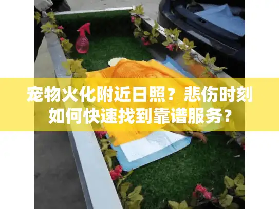 宠物火化附近日照？悲伤时刻如何快速找到靠谱服务？