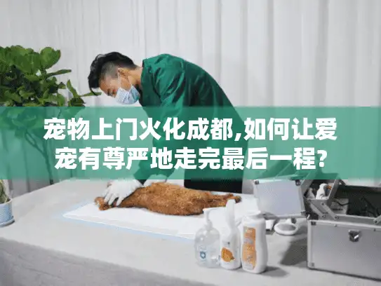 宠物上门火化成都,如何让爱宠有尊严地走完最后一程?