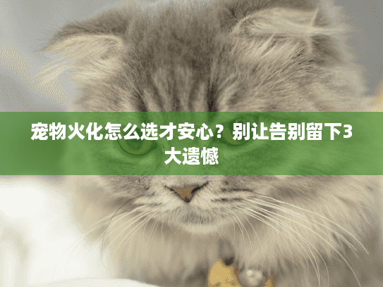 宠物火化怎么选才安心？别让告别留下3大遗憾