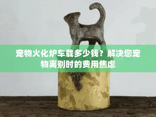 宠物火化炉车载多少钱？解决您宠物离别时的费用焦虑