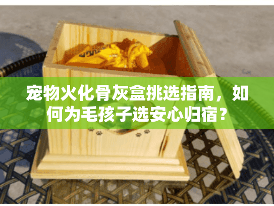 宠物火化骨灰盒挑选指南，如何为毛孩子选安心归宿？