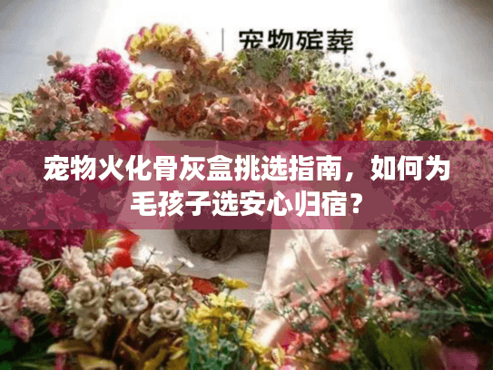 宠物火化骨灰盒挑选指南，如何为毛孩子选安心归宿？