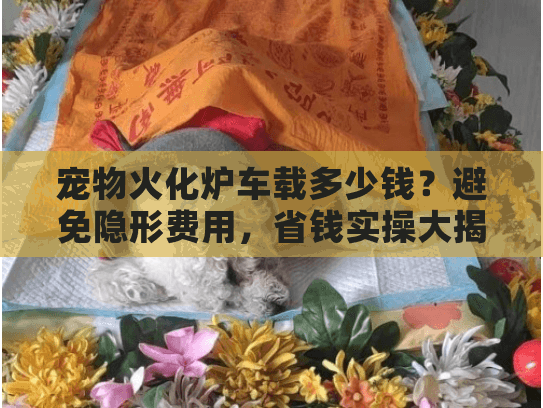 宠物火化炉车载多少钱？避免隐形费用，省钱实操大揭秘！