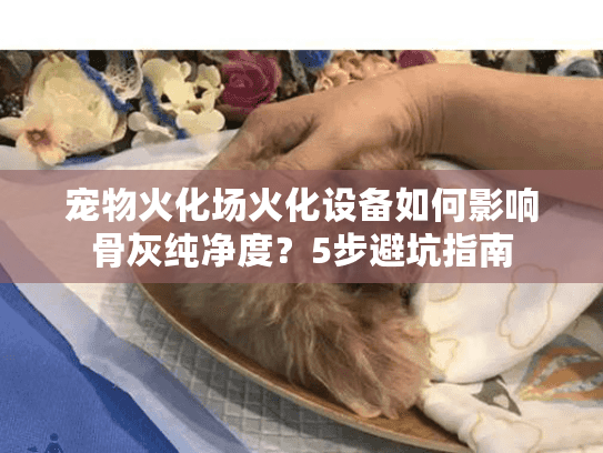 宠物火化场火化设备如何影响骨灰纯净度？5步避坑指南