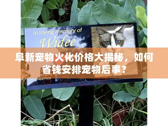 阜新宠物火化价格大揭秘,如何省钱安排宠物后事? 阜新宠物火化价格大揭秘,如何省钱安排宠物后事?