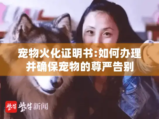 宠物火化证明书:如何办理并确保宠物的尊严告别