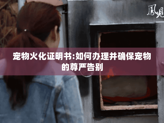 宠物火化证明书:如何办理并确保宠物的尊严告别