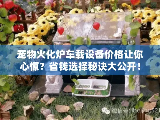 宠物火化炉车载设备价格让你心惊？省钱选择秘诀大公开！