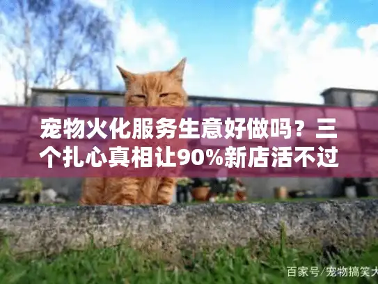 宠物火化服务生意好做吗？三个扎心真相让90%新店活不过半年