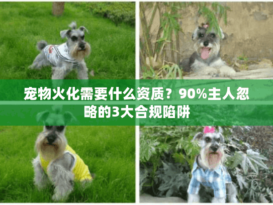 宠物火化需要什么资质？90%主人忽略的3大合规陷阱