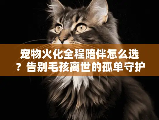 宠物火化全程陪伴怎么选？告别毛孩离世的孤单守护难题